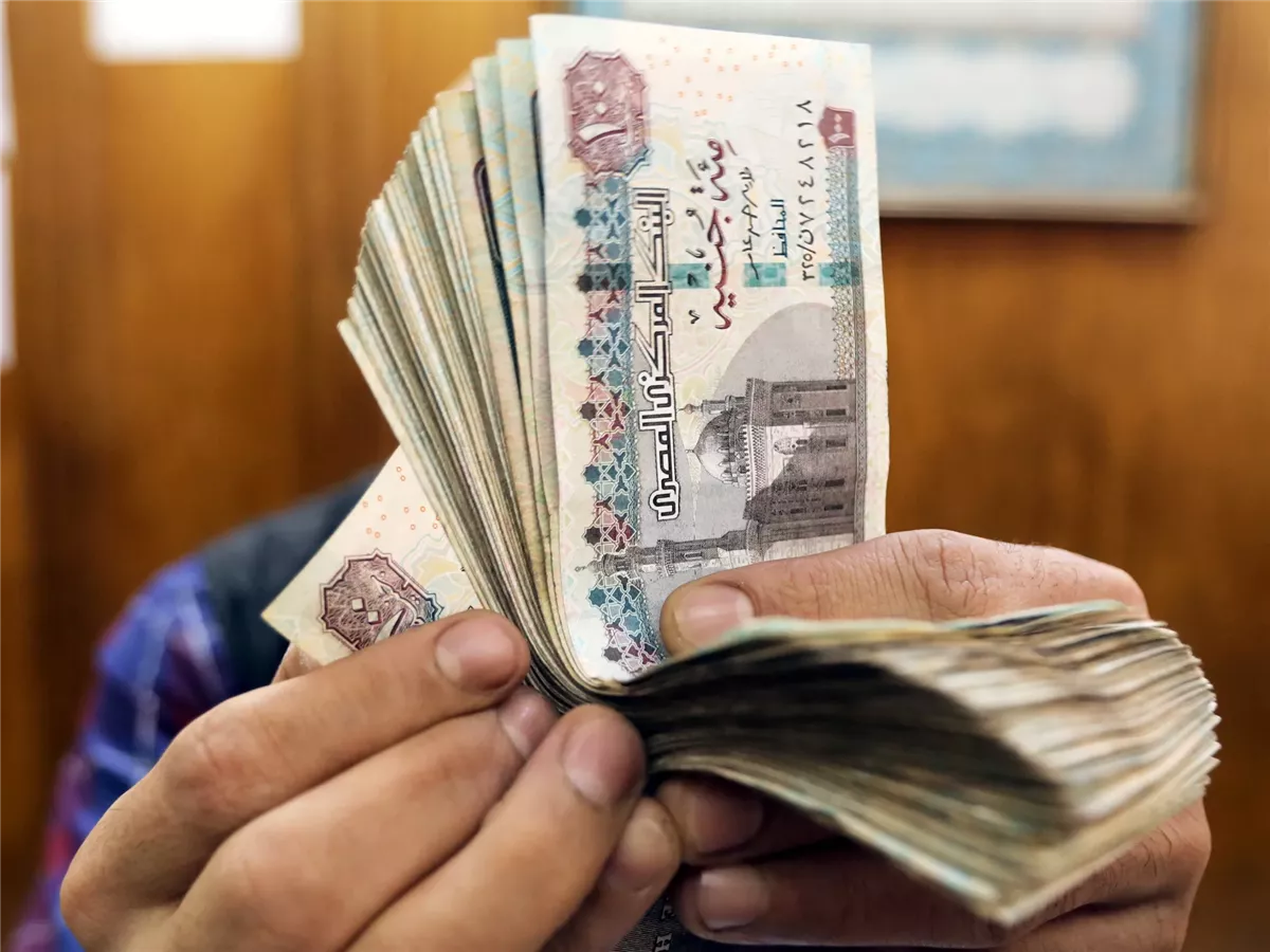 معاشات التضامن الإجتماعي