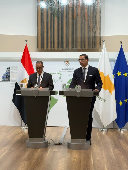 <strong>وزير الخارجية ونظيره القبرصي</strong>