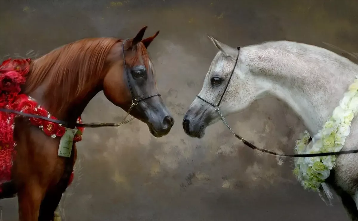 رؤية الخيل في المنام&nbsp;