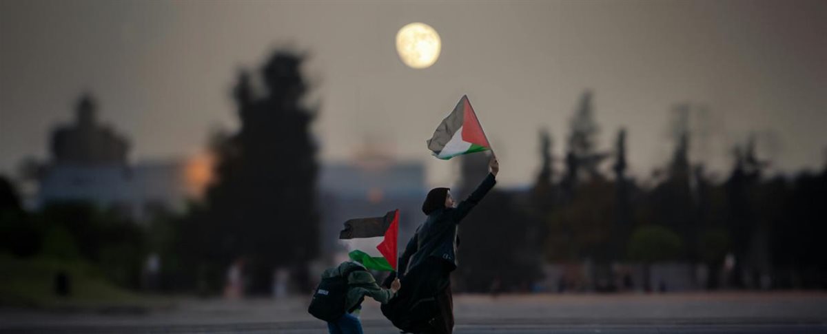 <strong>لن تقام دولة فلسطينية إلا في حالة واحدة</strong>