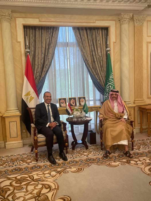 وزير الخارجية ونظيره السعودي&nbsp;