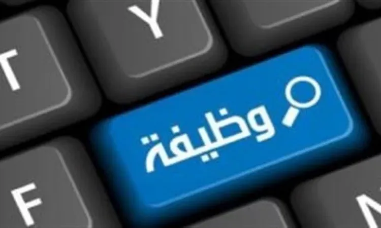 وظائف وزارة المالية