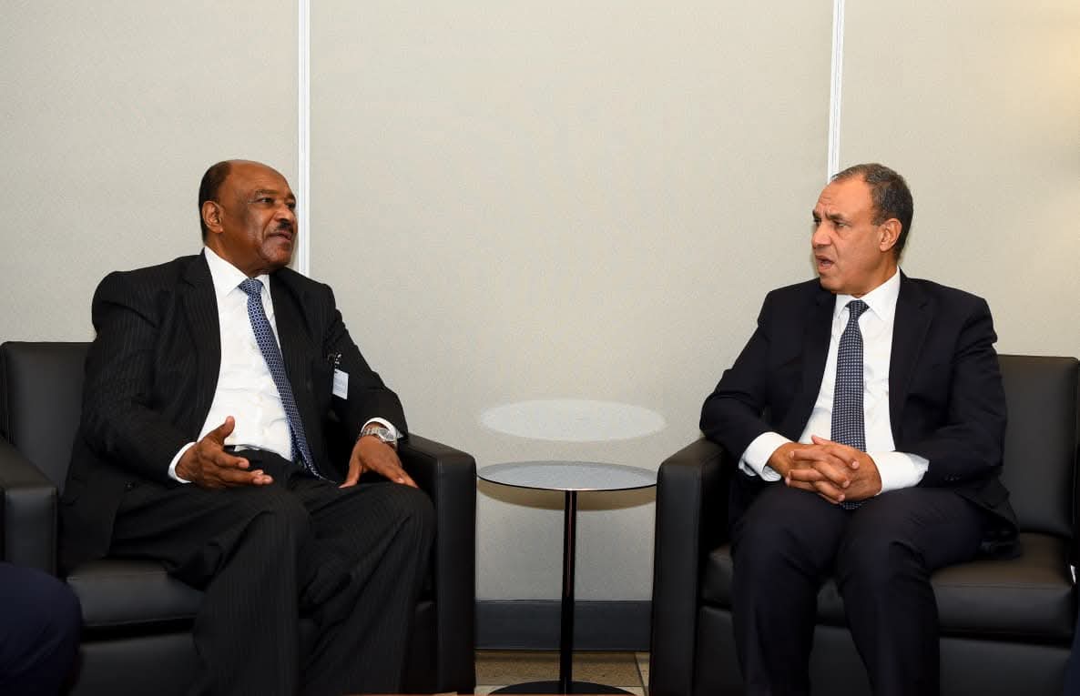 وزير الخارجية مع نظيره السوداني