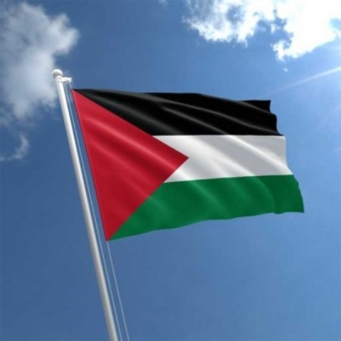 تحالف دولي جديد لدعم فلسطين ماديا