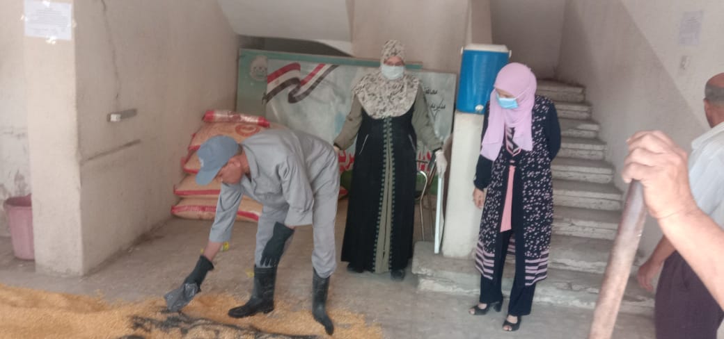 حملة القوارض بزراعة الفيوم