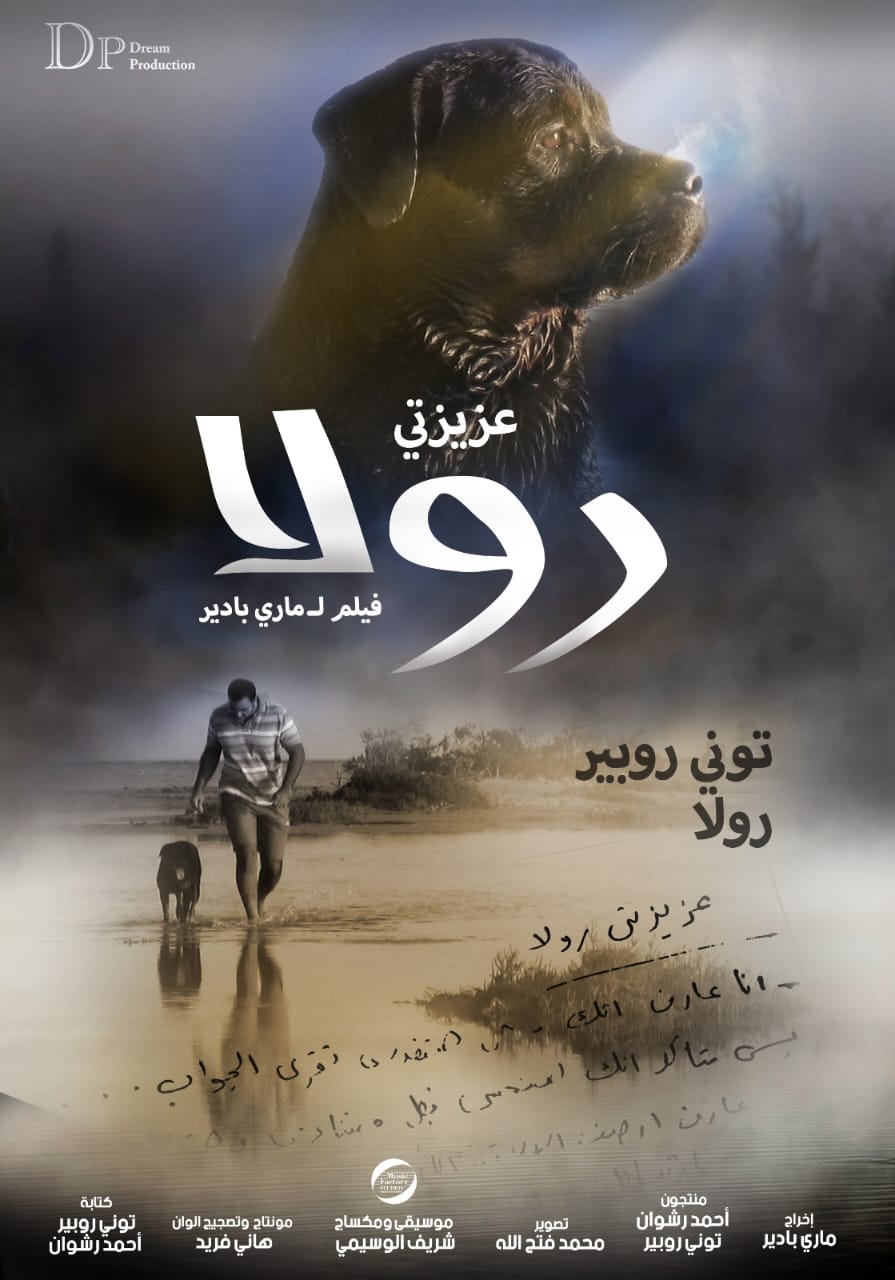 <strong>أفلام مهرجان بردية السينمائى</strong>