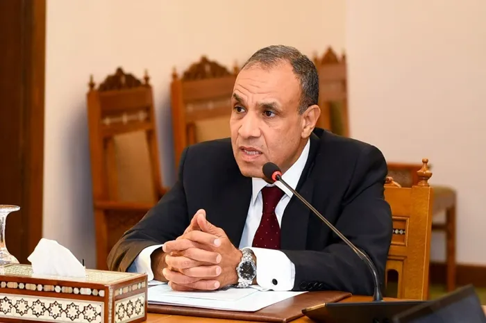 الدكتور بدر عبد العاطي وزير الخارجية&nbsp;