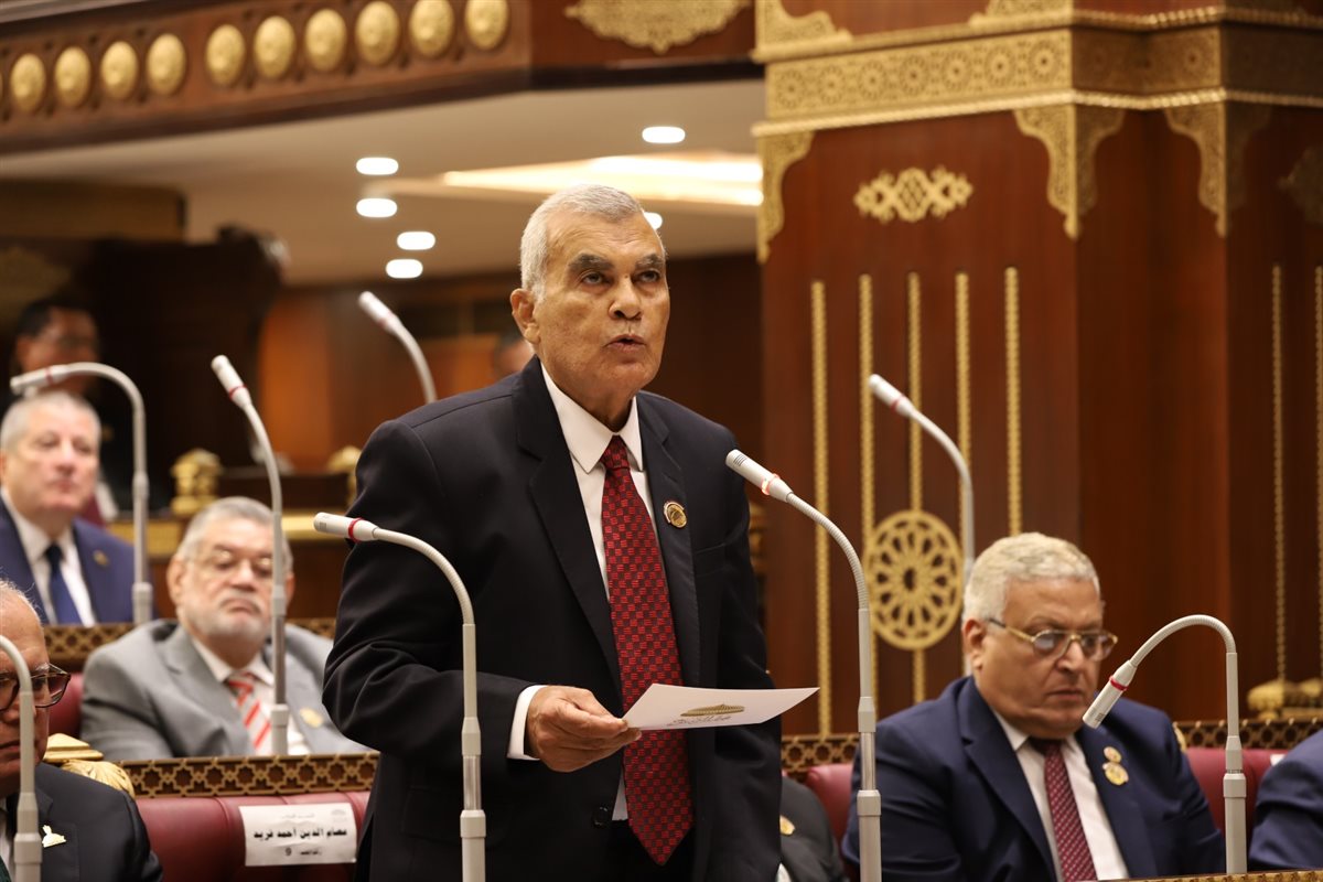عصام الدين فريد