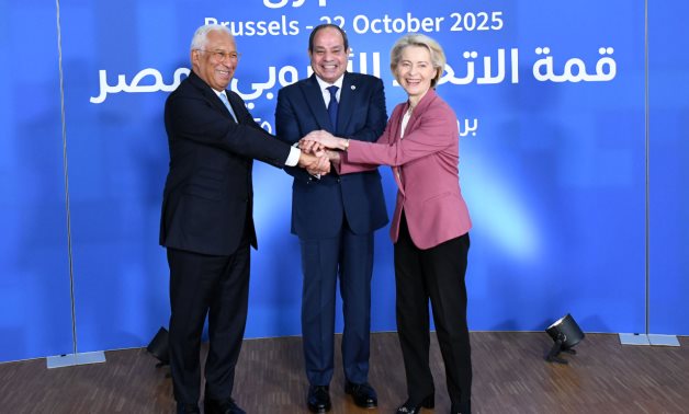 <strong>الرئيس السيسي يشكر ملك بلجيكا</strong>