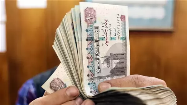 المالية