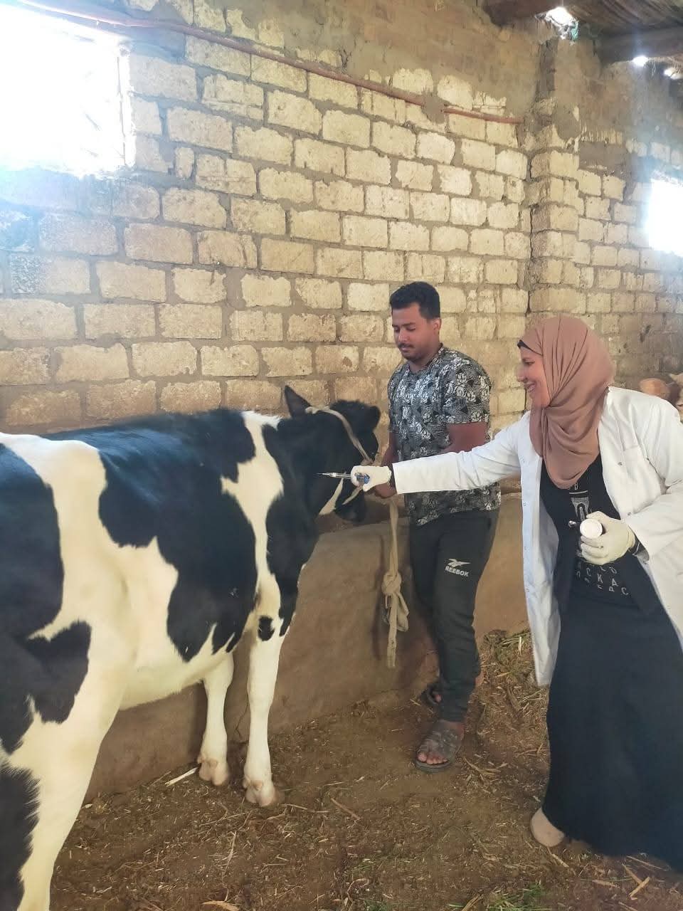 الحملة