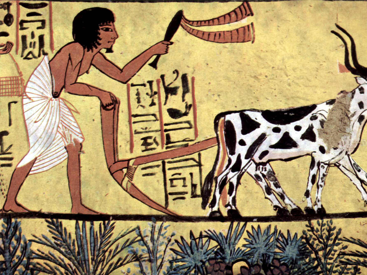 الحضارة الفرعونية&nbsp;