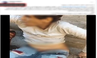 المنشور&nbsp;
