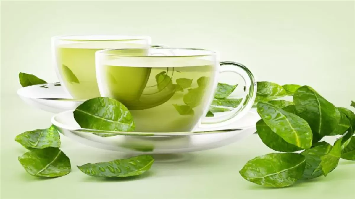 الشاي الأخضر&nbsp;