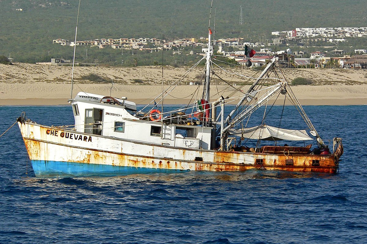 أرشيفية