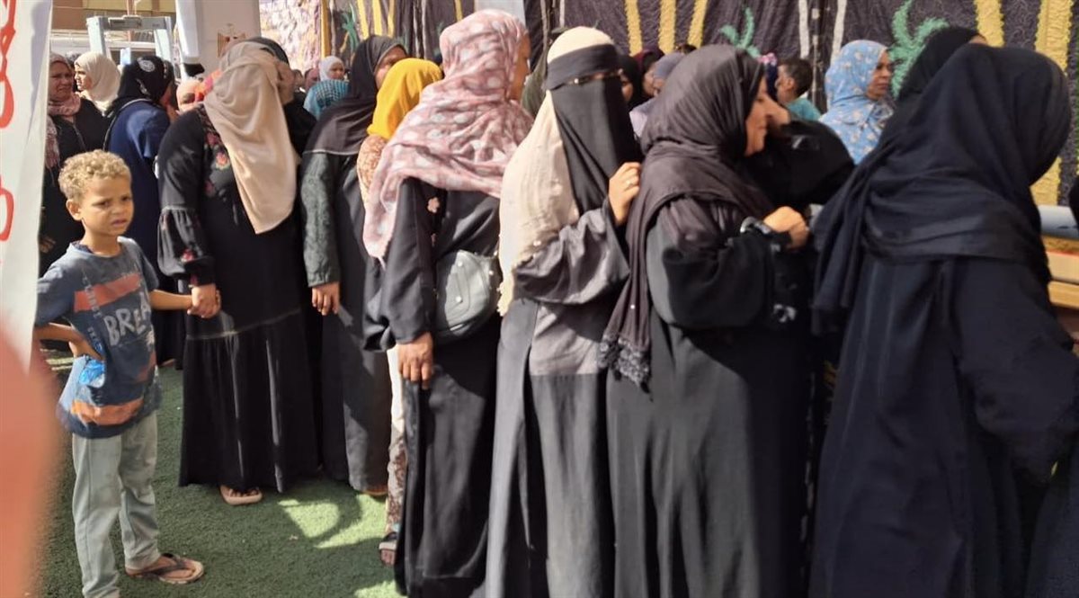 انتخابات النواب بأسوان