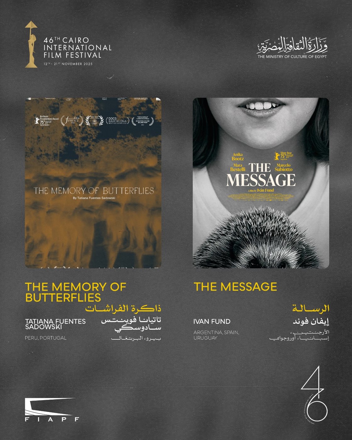 <strong>برنامج البانوراما الدولية</strong>