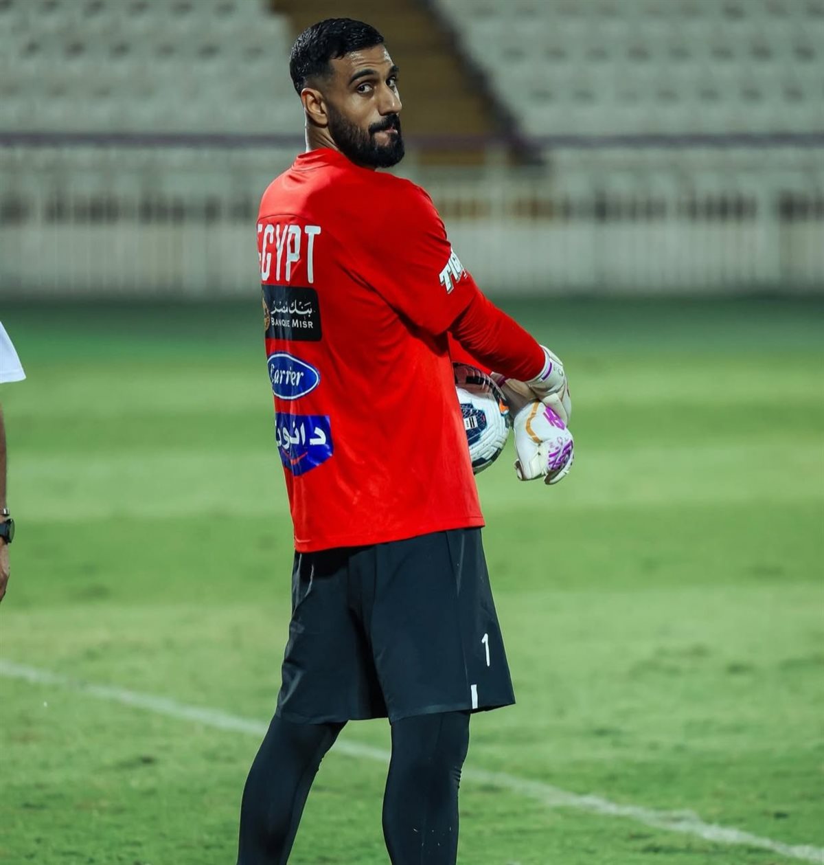 أحمد الشناوي