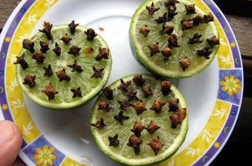 طرق آمنة للتخلص من الناموس