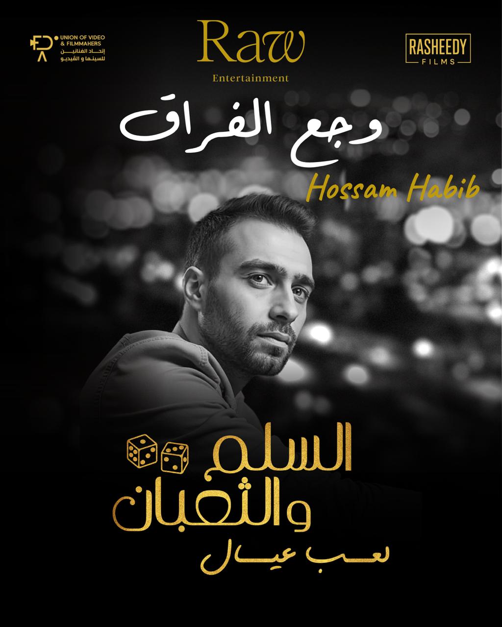 <strong>حسام حبيب</strong>