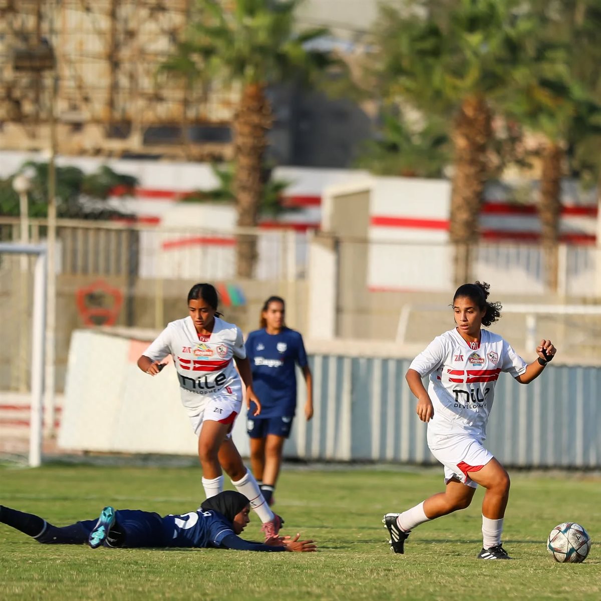 الزمالك وانبي