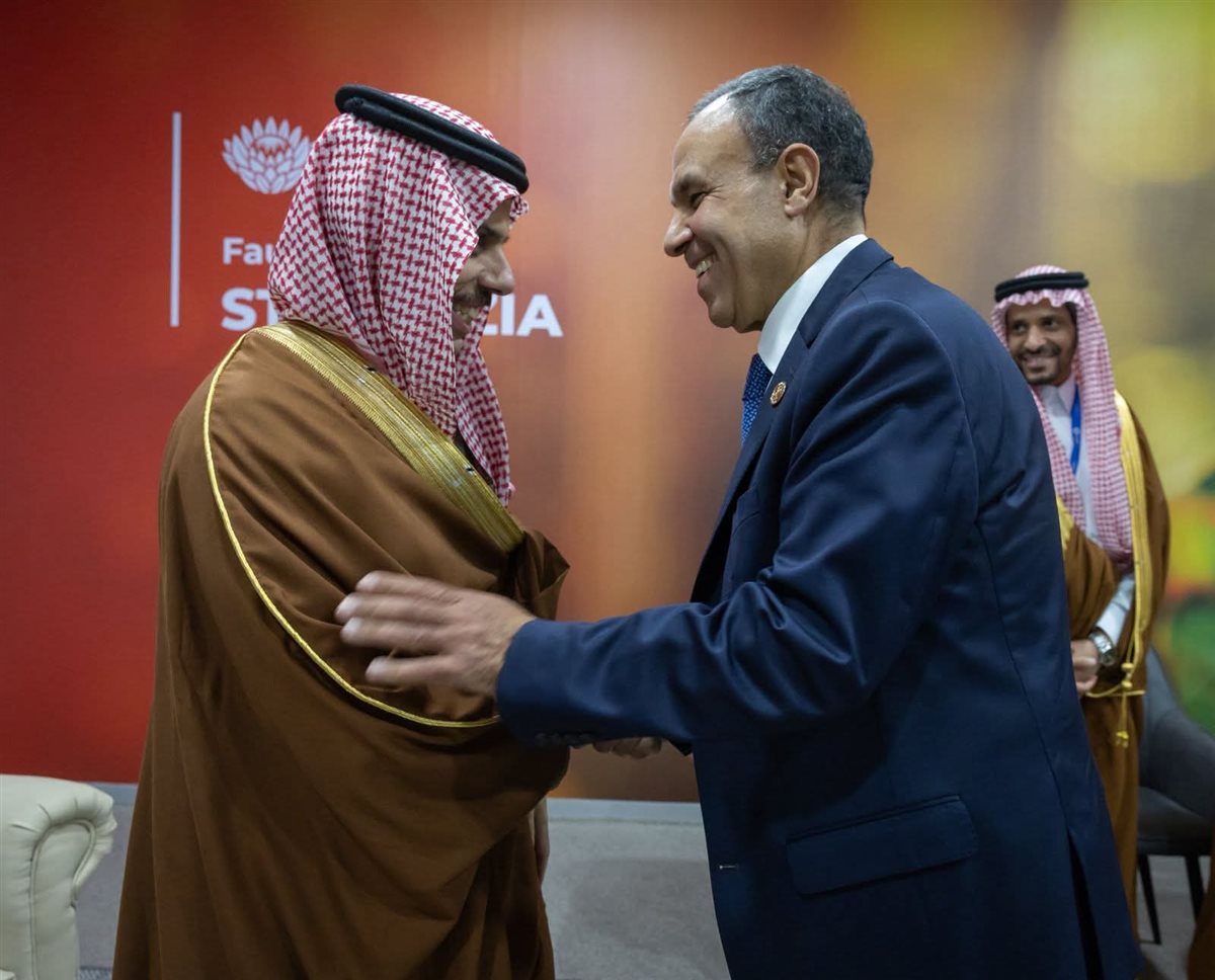 وزير الخارجية ونظيره السعودي&nbsp;