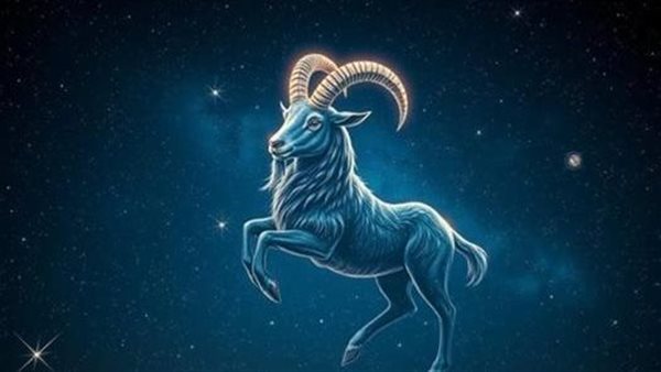 برج الجدي&nbsp;