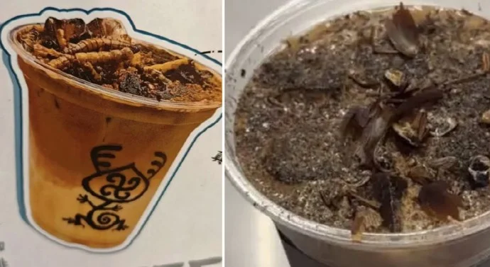 قهوة بالصراصير&nbsp;