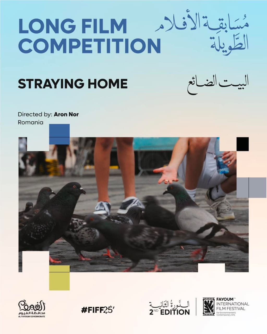 <strong>مهرجان الفيوم الدولي لأفلام البيئة والفنون المعاصرة</strong>