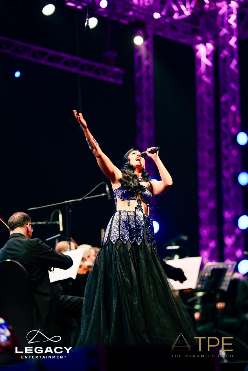 <strong>حفلات مهرجان 
