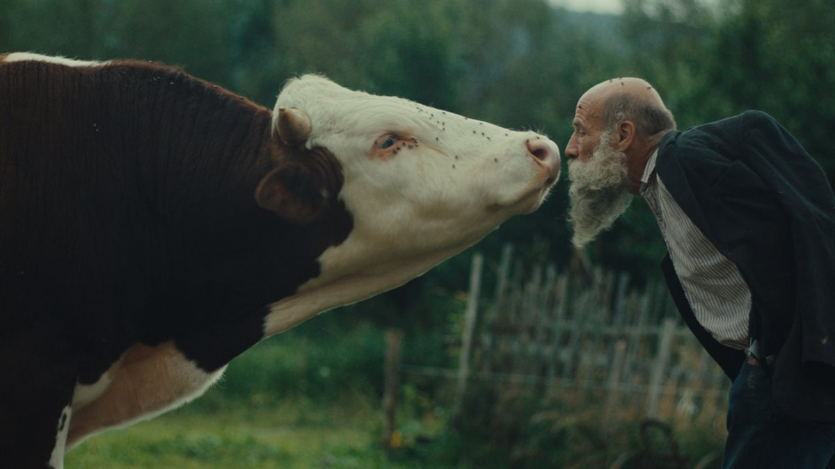 <strong>بانوراما الفيلم الأوروبي</strong>