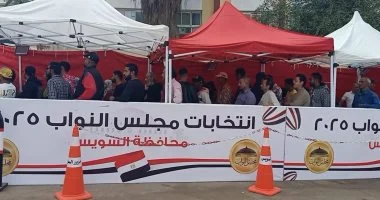 <strong>انتخابات مجلس النواب</strong>