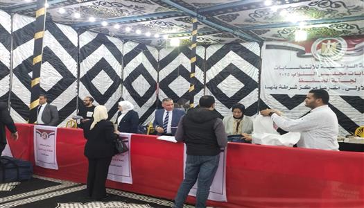 <strong>انتخابات مجلس النواب</strong>