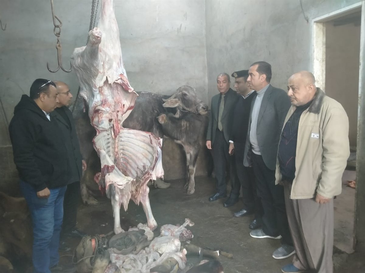 صور من الحملات التفتيشية&nbsp;