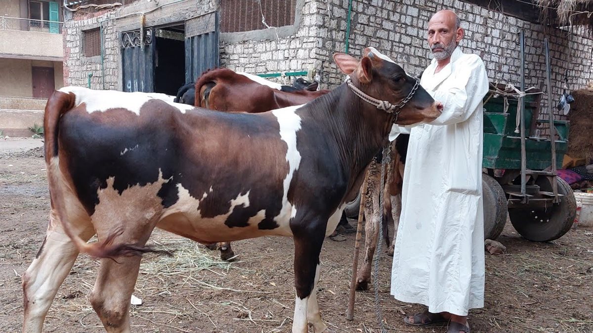 أرشيفية&nbsp;