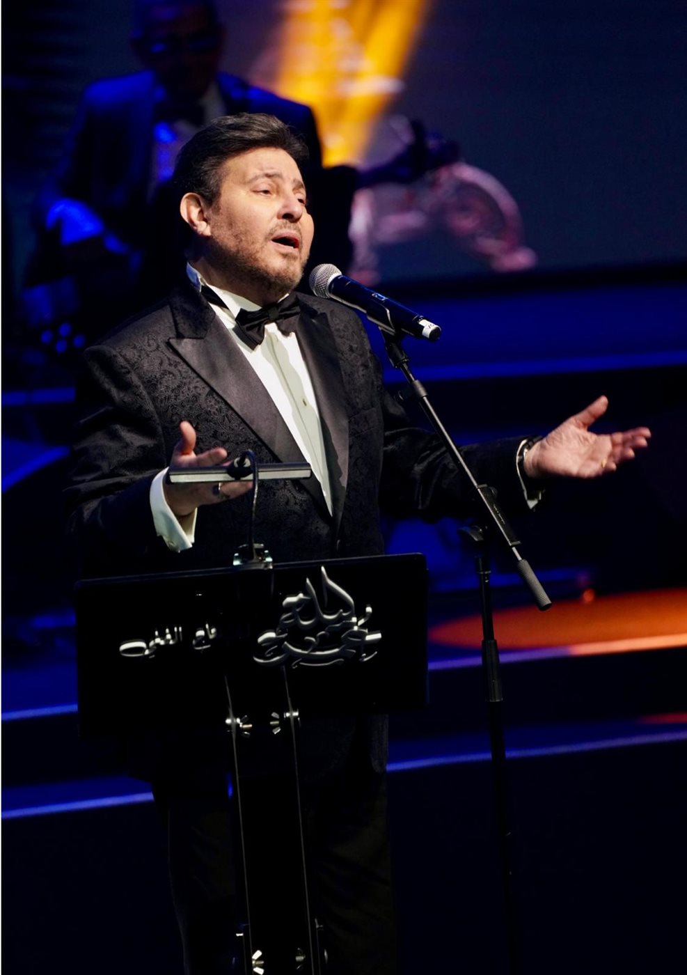 <strong>هاني شاكر</strong>