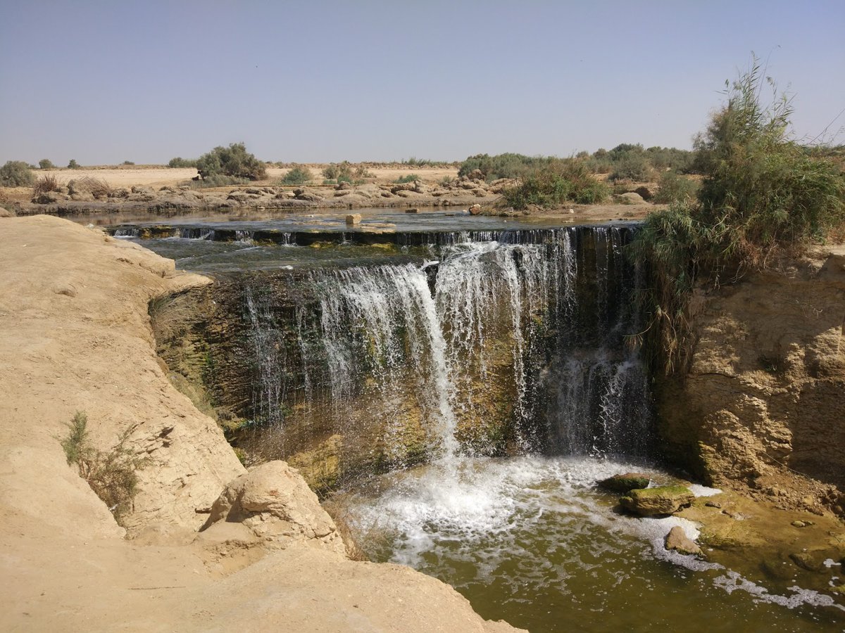 الفيوم&nbsp;