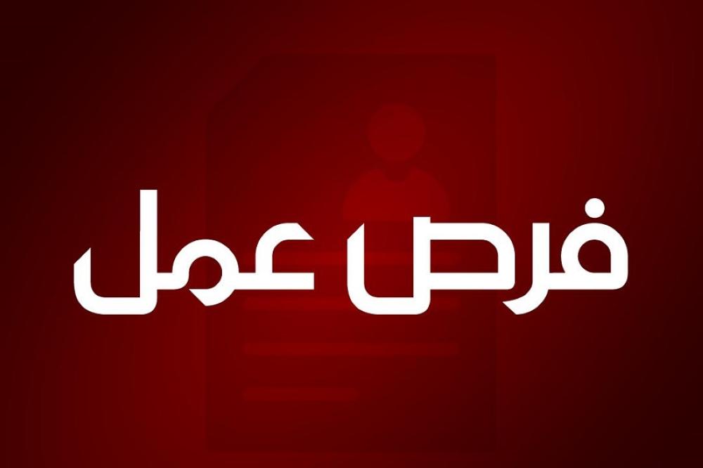 <strong>الجيزة توفر فرص عمل للشباب</strong>