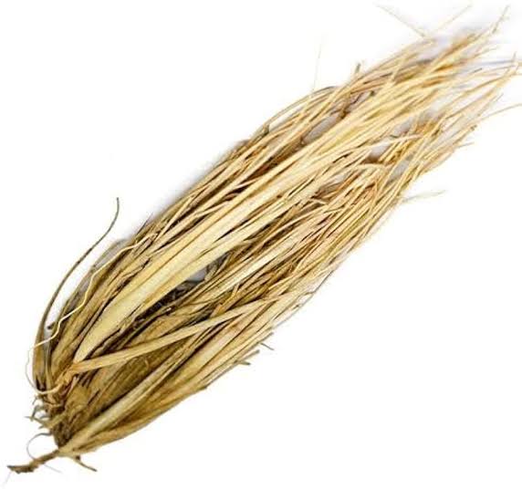 حلفا بار&nbsp;
