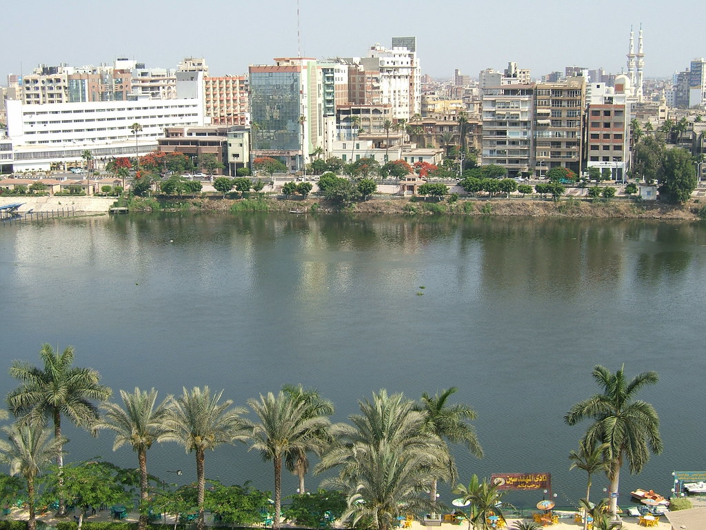 <strong>المنصورة&nbsp;</strong>