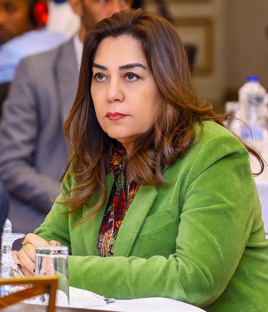 <strong>وزيرة التنمية المحلية&nbsp;</strong>