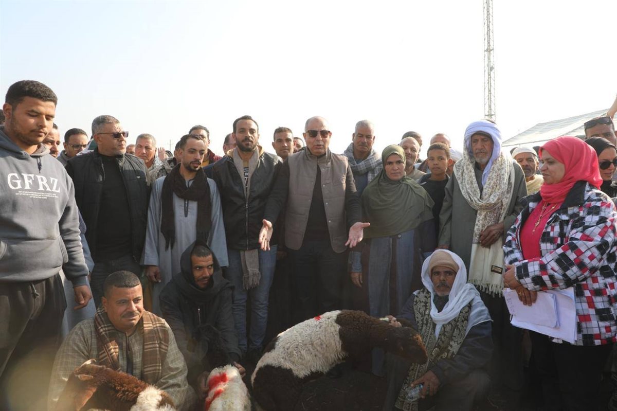 محافظ المنيا