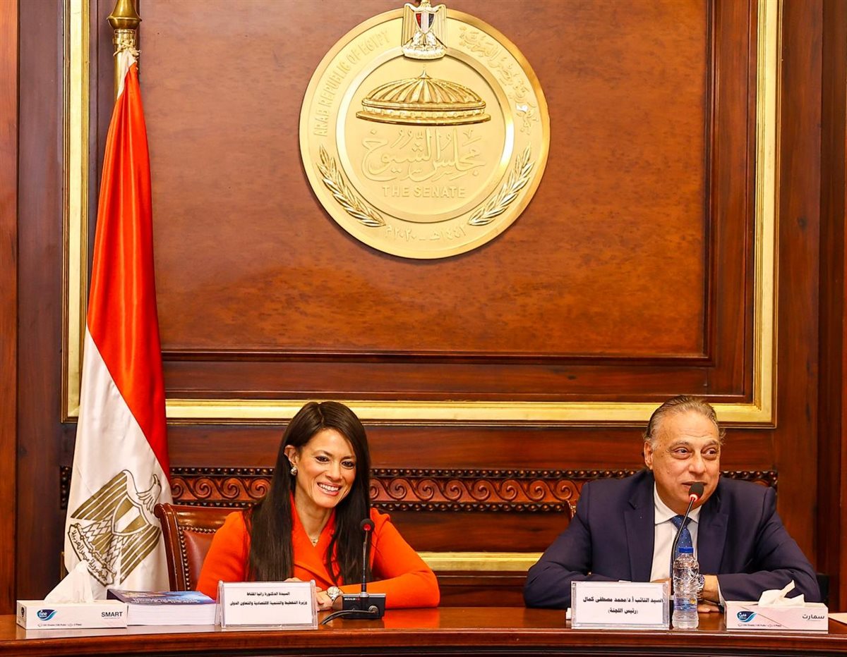 رانيا المشاط