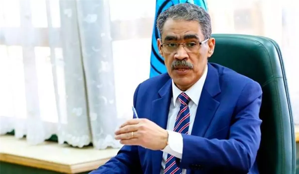 ضياء رشوان&nbsp;