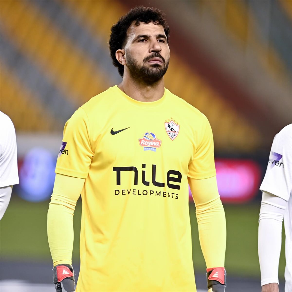 المهدي سليمان