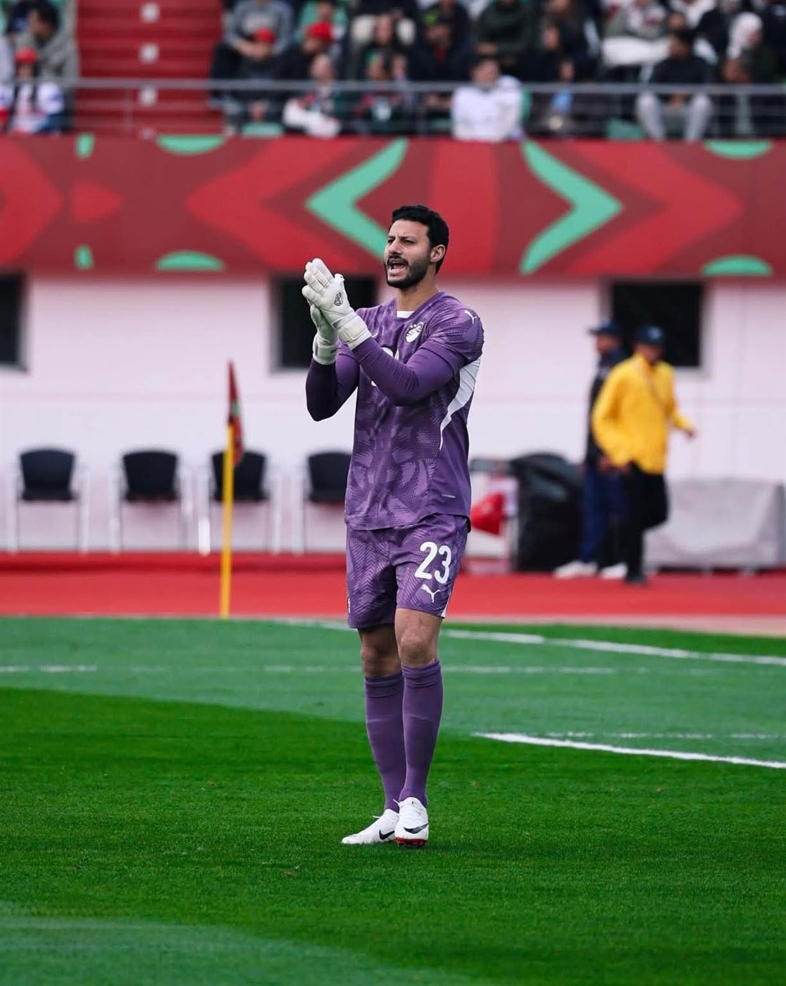 محمد الشناوي