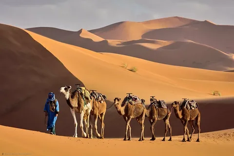 <strong>&nbsp;تعمير</strong><a href=