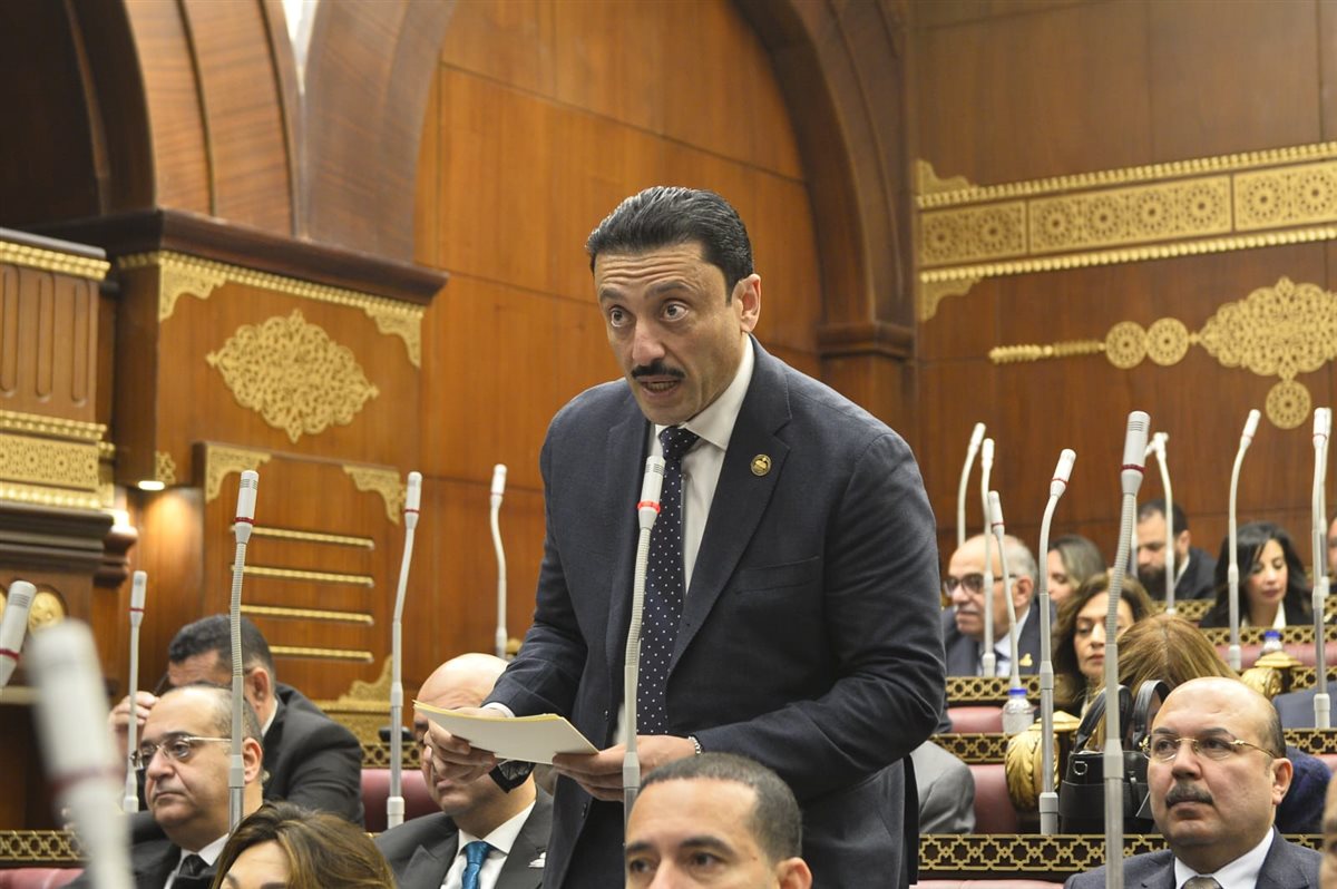 النائب محمد رزق من فعاليات جلسة اليوم