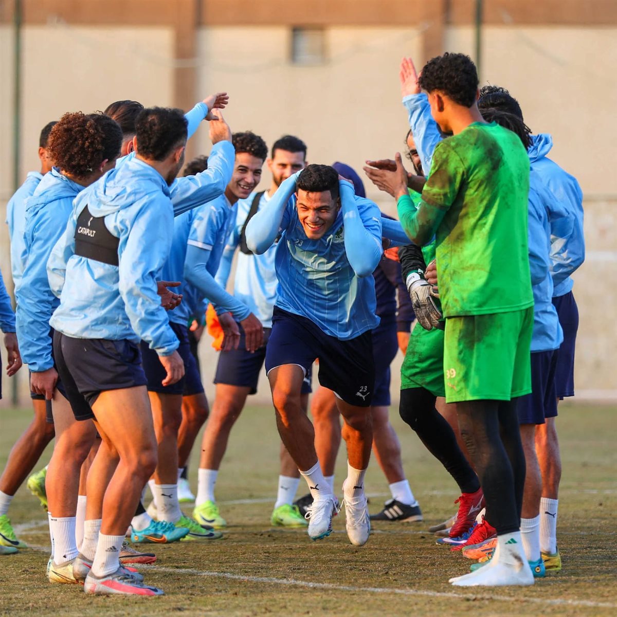 مصطفي العش