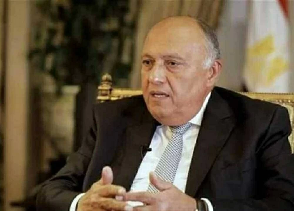 <strong>سامح شكري</strong>